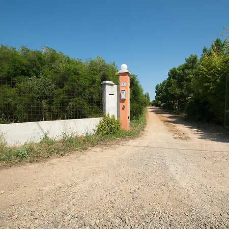 Fattoria Corte Noa Masainas